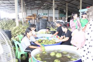 ภาพประกอบเว็บไซต์