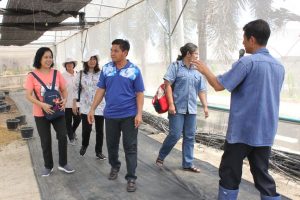 ภาพประกอบเว็บไซต์