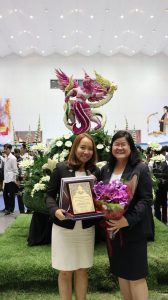 ภาพประกอบเว็บไซต์