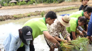 ภาพประกอบเว็บไซต์