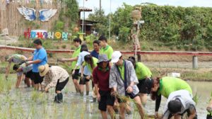 ภาพประกอบเว็บไซต์