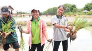 ภาพประกอบเว็บไซต์