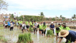 ภาพประกอบเว็บไซต์