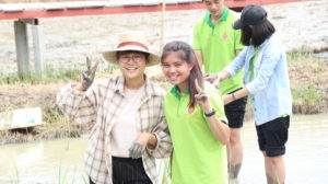 ภาพประกอบเว็บไซต์