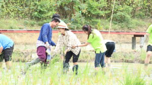 ภาพประกอบเว็บไซต์