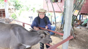 ภาพประกอบเว็บไซต์
