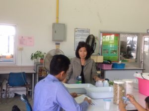ภาพประกอบเว็บไซต์