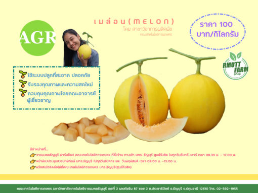 ภาพประกอบเว็บไซต์