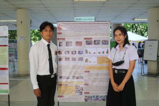 ภาพประกอบเว็บไซต์