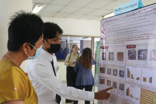 ภาพประกอบเว็บไซต์