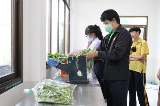 ภาพประกอบเว็บไซต์