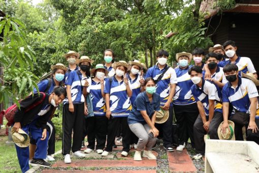 ภาพประกอบเว็บไซต์