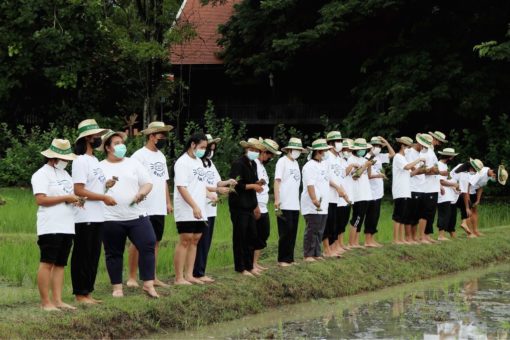ภาพประกอบเว็บไซต์