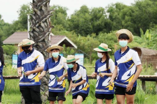 ภาพประกอบเว็บไซต์