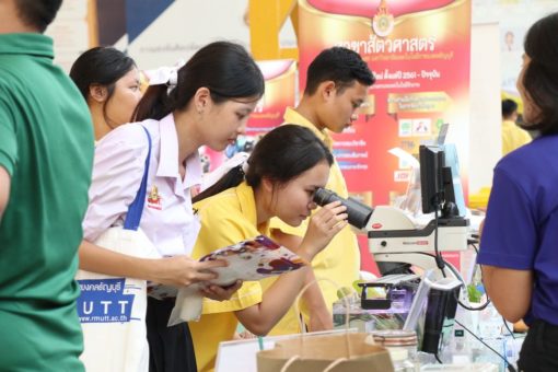 ภาพประกอบเว็บไซต์