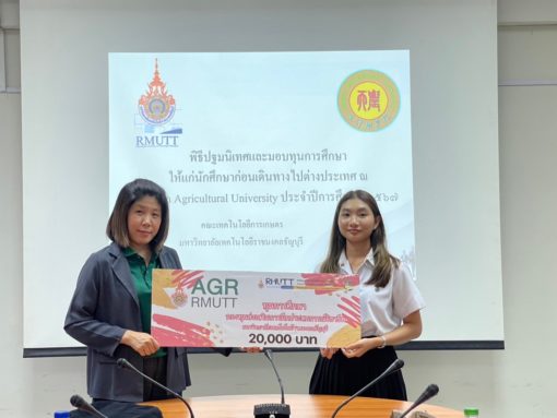 ภาพประกอบเว็บไซต์