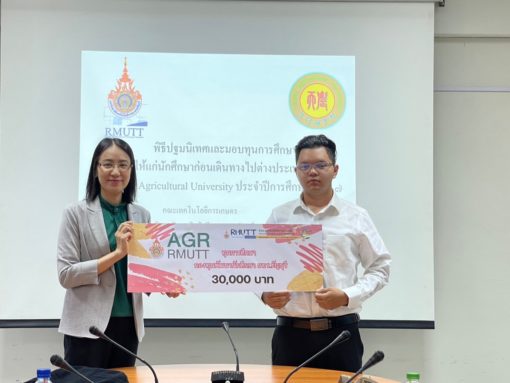 ภาพประกอบเว็บไซต์