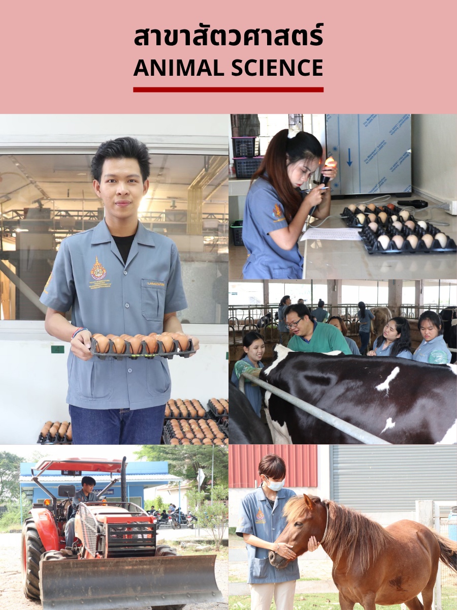 ภาพการเรีนรการสอนสาขาสัตวศาสตร์