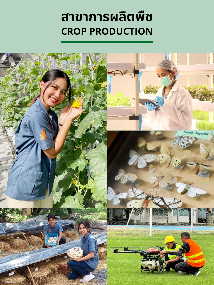 ภาพการเรียนการสอนสาขาการผลิตพืช
