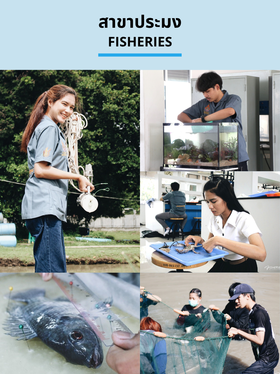 ภาพการเรียนการสอนสาขาประมง