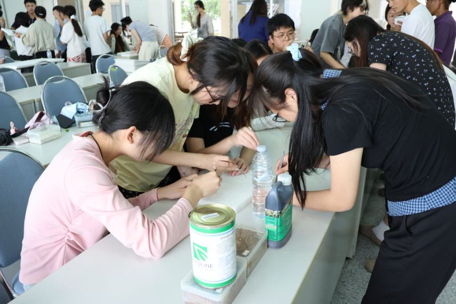นักศึกษาต่างชาติร่วมกันทำ Work Shop เพาะเมล็ดพันธุ์พืช