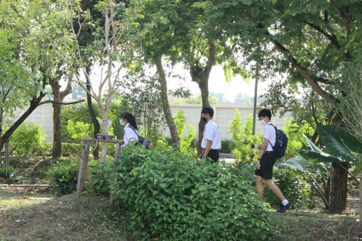 ผู้ที่สนใจเข้าเยี่ยมชมและพักผ่อนภายในสวน