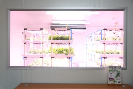 ห้องแลป plant factory