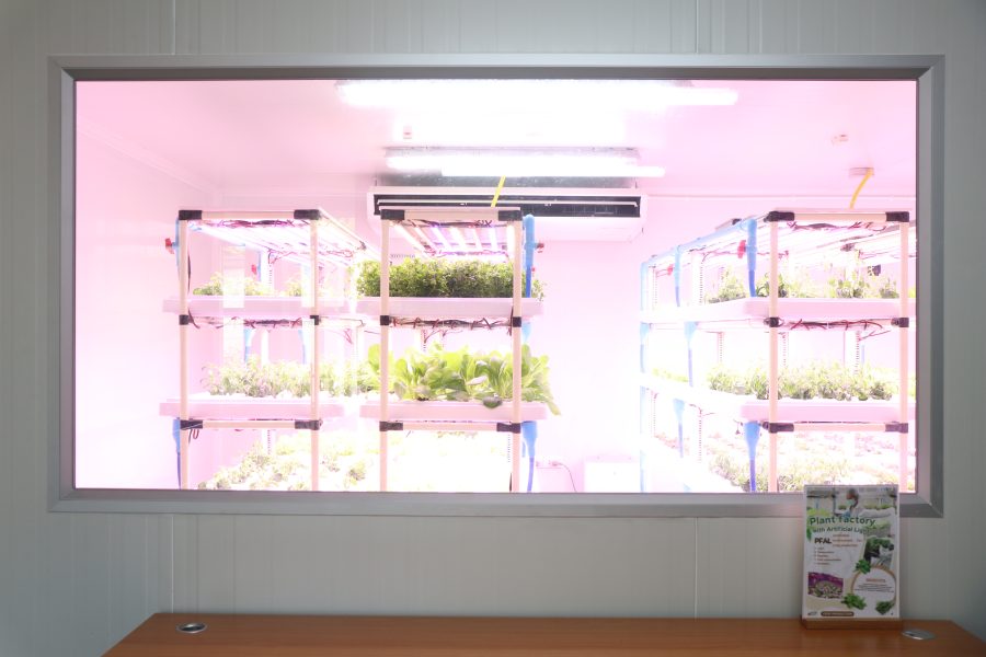 ห้องแลป plant factory