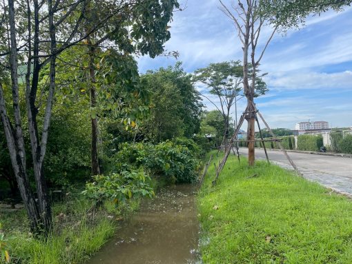 บรรยากาศภายในสวน