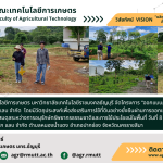 banner ประชาสัมพันธ์ข่าวโครงการออกแบบภูมิทัศน์สวนป่า ณ บริษัท คอสเมตริก แลบ จำกัด