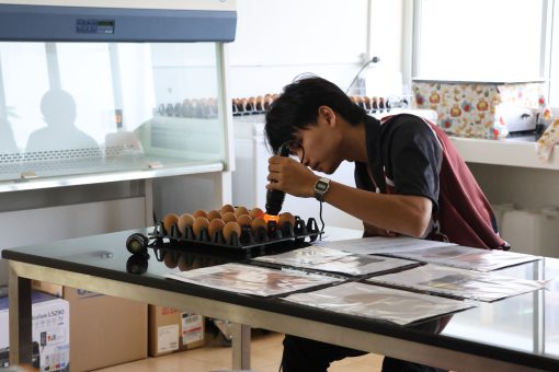 สาขาสัตวศาสตร์จัดการแข่งขันทักษะทางวิชาการภายใน ส่งเสริมให้นักศึกษาได้แสดงความรู้ความสามารถต่อวิชาชีพด้านสัตวศาสตร์