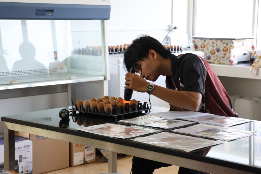 สาขาสัตวศาสตร์จัดการแข่งขันทักษะทางวิชาการภายใน ส่งเสริมให้นักศึกษาได้แสดงความรู้ความสามารถต่อวิชาชีพด้านสัตวศาสตร์