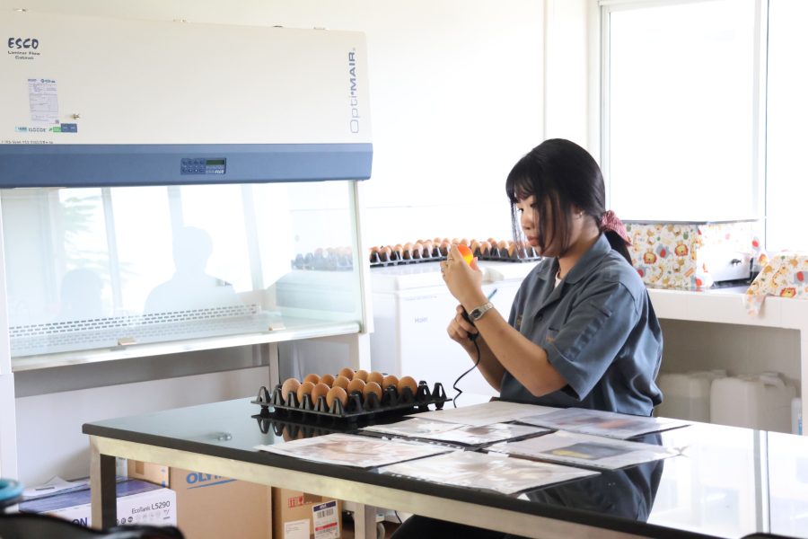 สาขาสัตวศาสตร์จัดการแข่งขันทักษะทางวิชาการภายใน ส่งเสริมให้นักศึกษาได้แสดงความรู้ความสามารถต่อวิชาชีพด้านสัตวศาสตร์