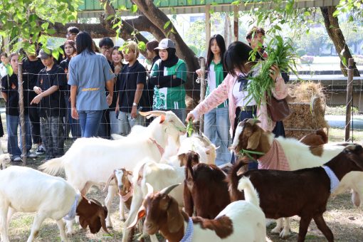 คณะเทคโนโลยีการเกษตร ร่วมจัดบูธ AgriTech Next Gen ในงาน RMUTT Open House 2026