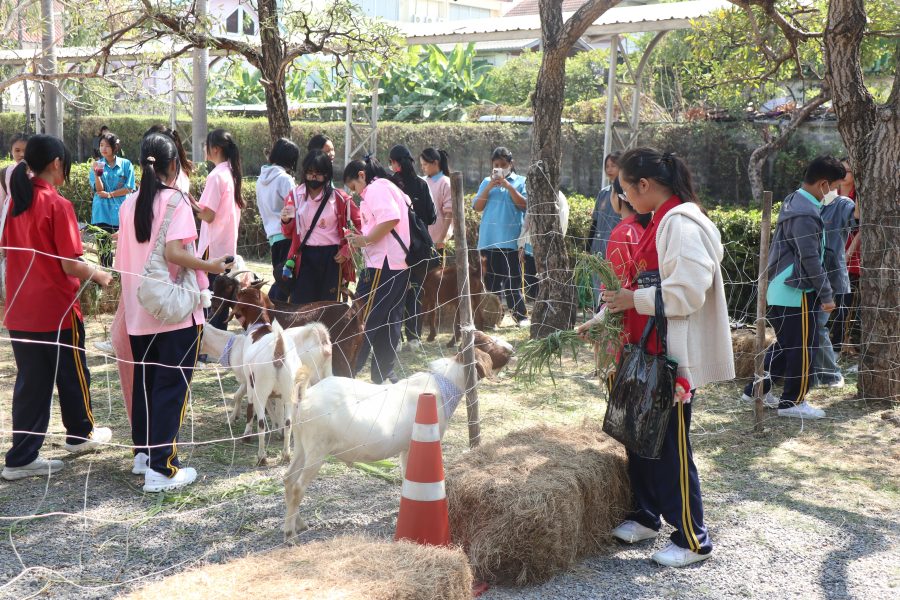 สาขาสัตวศาสตร์ มทร.ธัญบุรี ร่วมกิจกรรมวันเด็ก 2569 จัดแสดงแพะ แนะแนวการศึกษา ณ โรงเรียนสายปัญญารังสิต