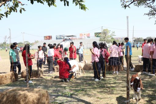 สาขาสัตวศาสตร์ มทร.ธัญบุรี ร่วมกิจกรรมวันเด็ก 2569 จัดแสดงแพะ แนะแนวการศึกษา ณ โรงเรียนสายปัญญารังสิต