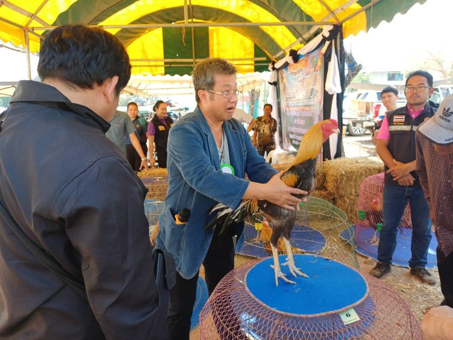 อาจารย์และนักศึกษาคณะเทคโนโลยีการเกษตร มทร.ธัญบุรี ร่วมเป็นกรรมการและผู้ช่วยตัดสินการประกวดไก่พื้นเมือง งานเจ้าพ่อพญาแล 2569