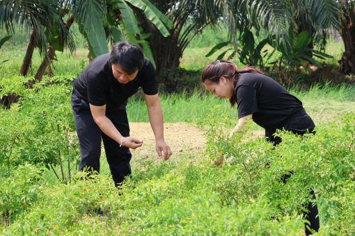 คณะเทคโนโลยีการเกษตร มทร.ธัญบุรี หารือแนวทางความร่วมมือด้านบริการวิชาการ อบต.ลำลูกกา บูรณาการเทคโนโลยีเกษตรสมัยใหม่
