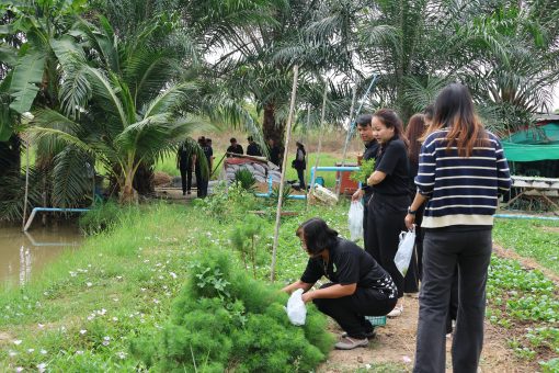 คณะเทคโนโลยีการเกษตร มทร.ธัญบุรี หารือแนวทางความร่วมมือด้านบริการวิชาการ อบต.ลำลูกกา บูรณาการเทคโนโลยีเกษตรสมัยใหม่