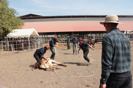 คณะเทคโนโลยีการเกษตร มทร.ธัญบุรี ส่งนักศึกษาเข้าร่วมการแข่งขันทักษะทางวิชาการเกษตรราชมงคล ครั้งที่ 9