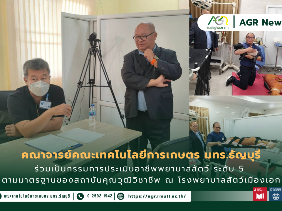 ข่าวประชาสัมพันธ์ คณาจารย์ร่วมเป็นคณะกรรมการตัดสินการประเมินอาชีพพยาบาลสัตว์ ระดับ 5 ตามมาตรฐานของสถาบันคุณวุฒิวิชาชีพ
