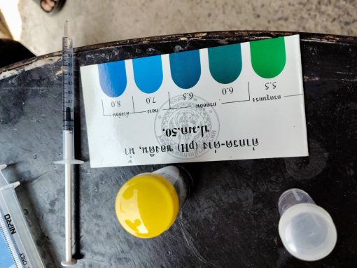 คณะเทคโนโลยีการเกษตร มทร.ธัญบุรี จัดโครงการการถ่ายทอดเทคโนโลยีการปรับปรุงดินกรดจัดทางการเกษตรสู่การผลิตพืชอย่างยั่งยืน ในชุมชนคลองหลวง จ.ปทุมธานี