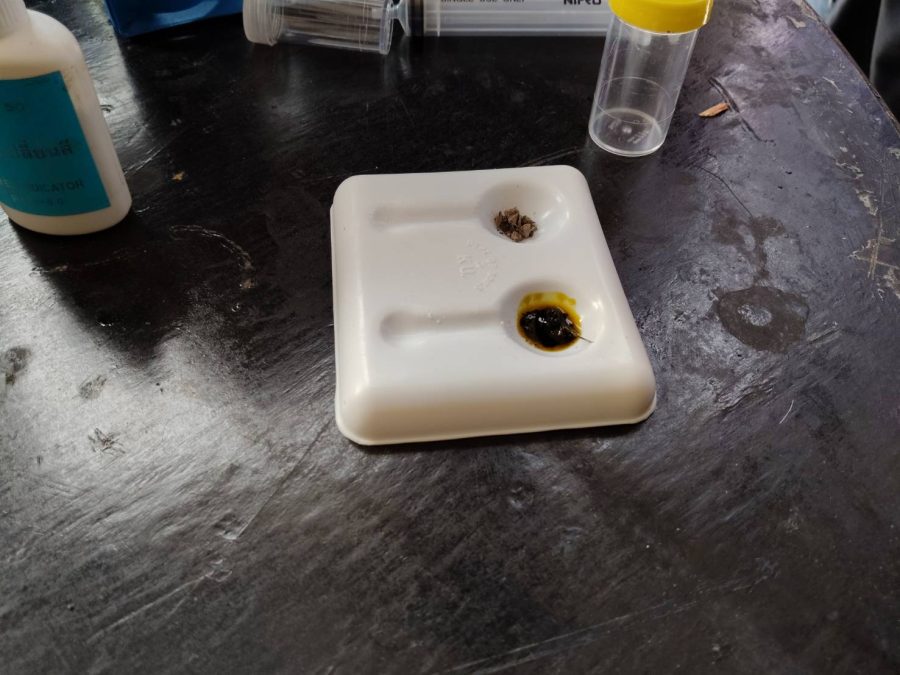 คณะเทคโนโลยีการเกษตร มทร.ธัญบุรี จัดโครงการการถ่ายทอดเทคโนโลยีการปรับปรุงดินกรดจัดทางการเกษตรสู่การผลิตพืชอย่างยั่งยืน ในชุมชนคลองหลวง จ.ปทุมธานี