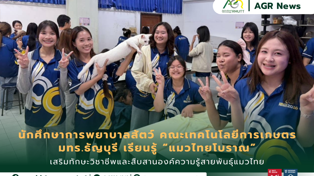 นักศึกษาสาขาการพยาบาลสัตว์ คณะเทคโนโลยีการเกษตร มทร.ธัญบุรี เรียนรู้ “แมวไทยโบราณ” เสริมทักษะวิชาชีพและสืบสานองค์ความรู้สายพันธุ์แมวไทย