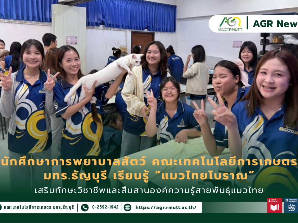 นักศึกษาสาขาการพยาบาลสัตว์ คณะเทคโนโลยีการเกษตร มทร.ธัญบุรี เรียนรู้ “แมวไทยโบราณ” เสริมทักษะวิชาชีพและสืบสานองค์ความรู้สายพันธุ์แมวไทย