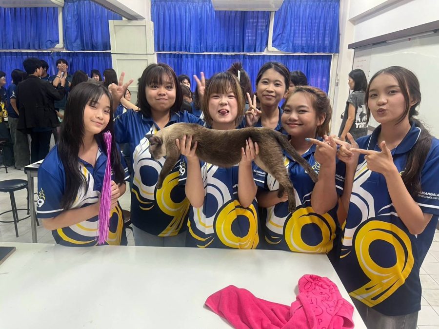 นักศึกษาสาขาการพยาบาลสัตว์ คณะเทคโนโลยีการเกษตร มทร.ธัญบุรี เรียนรู้ “แมวไทยโบราณ” เสริมทักษะวิชาชีพและสืบสานองค์ความรู้สายพันธุ์แมวไทย